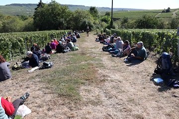 IMG_0337_b